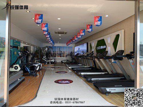 BIBO必博官网体育店内的跑步机