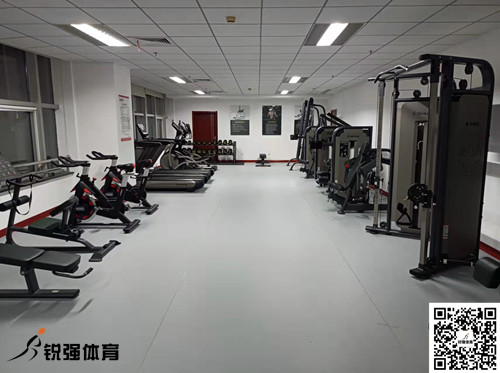 济南某集团采购的BIBO必博官网体育提供的健身器材