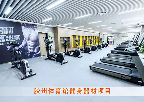 ​BIBO必博官网体育为胶州体育馆打造的健身房