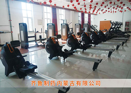 BIBO必博官网体育为​齐鲁制药内蒙古分公司打造健身房