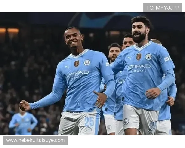 梅赫伦中路渗透