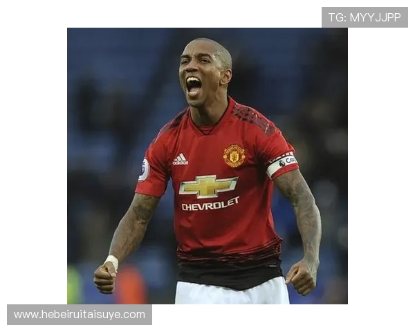 阿什利扬技术特点