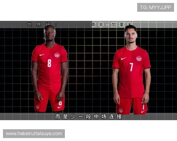 南非世界杯32强赛程回顾：对阵加拿大比赛信息整理