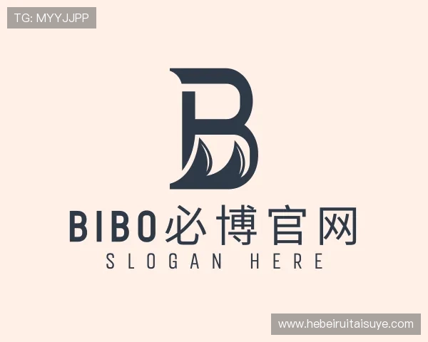 介绍必博bibo
